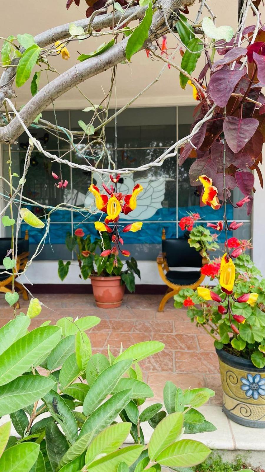 La Chacra De Joel Hotel Huehuetenango Eksteriør bilde