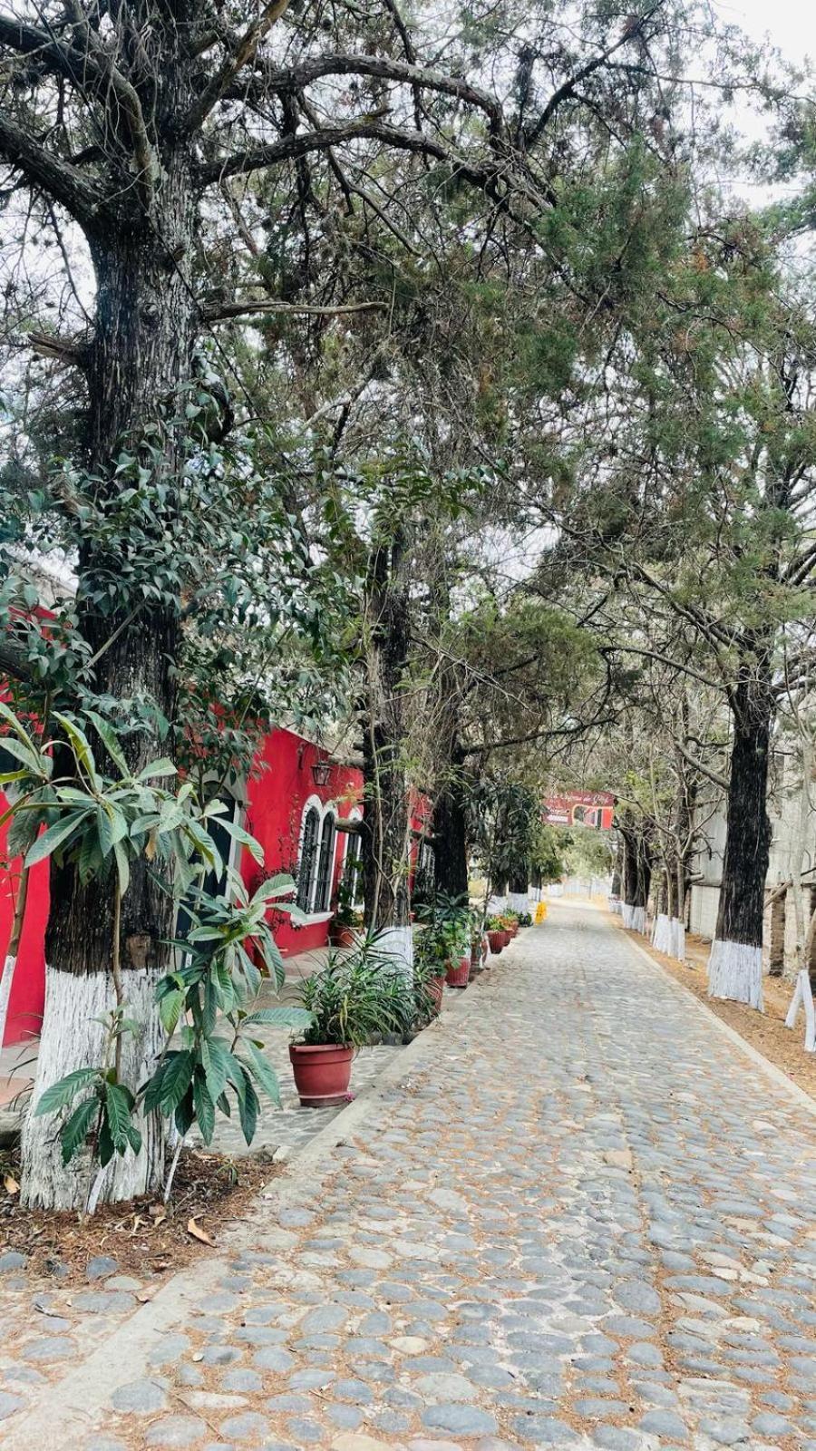 La Chacra De Joel Hotel Huehuetenango Eksteriør bilde